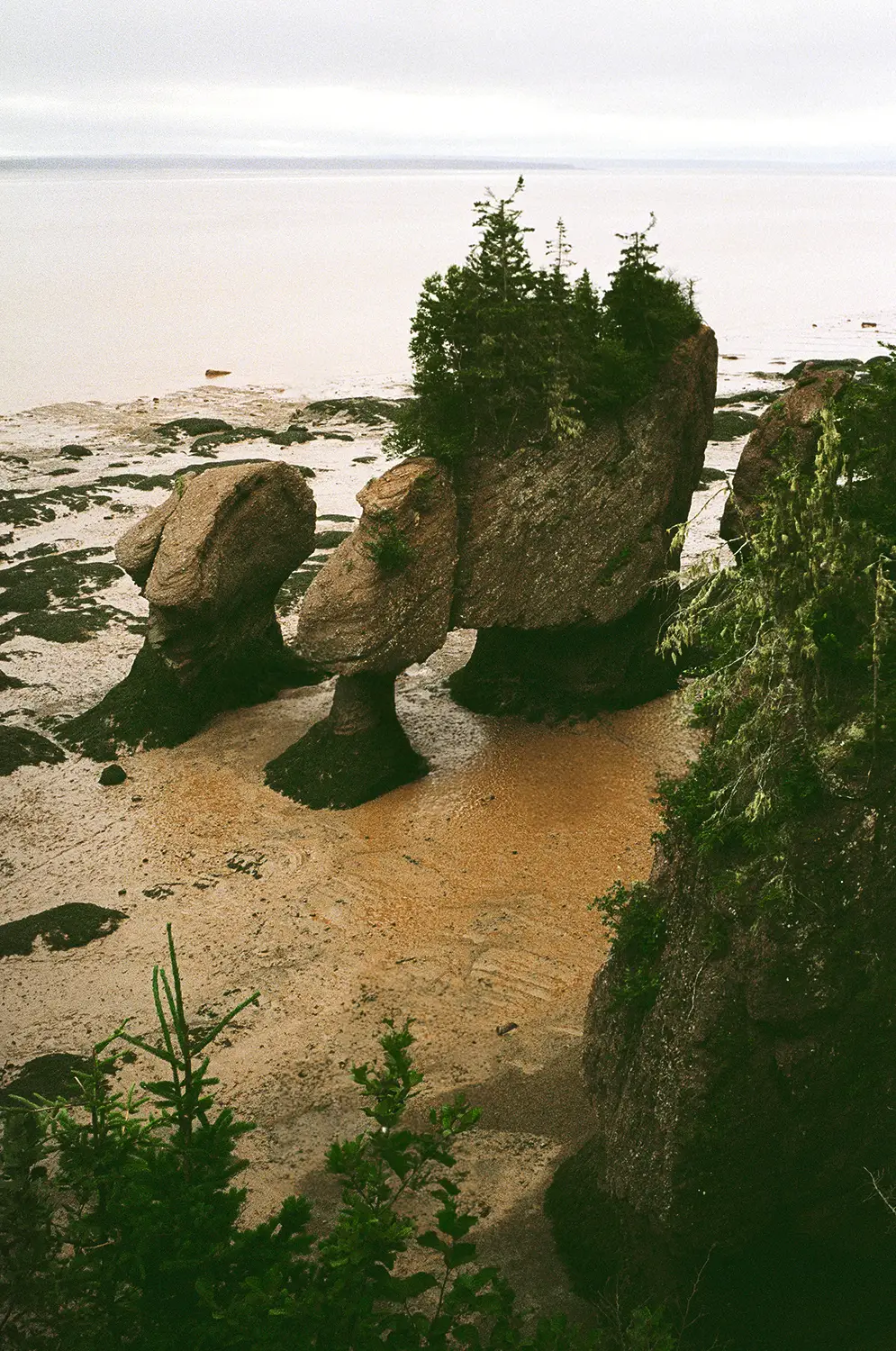 People exploring large, tree-topped rock formations on a muddy tidal flat with a misty horizon.