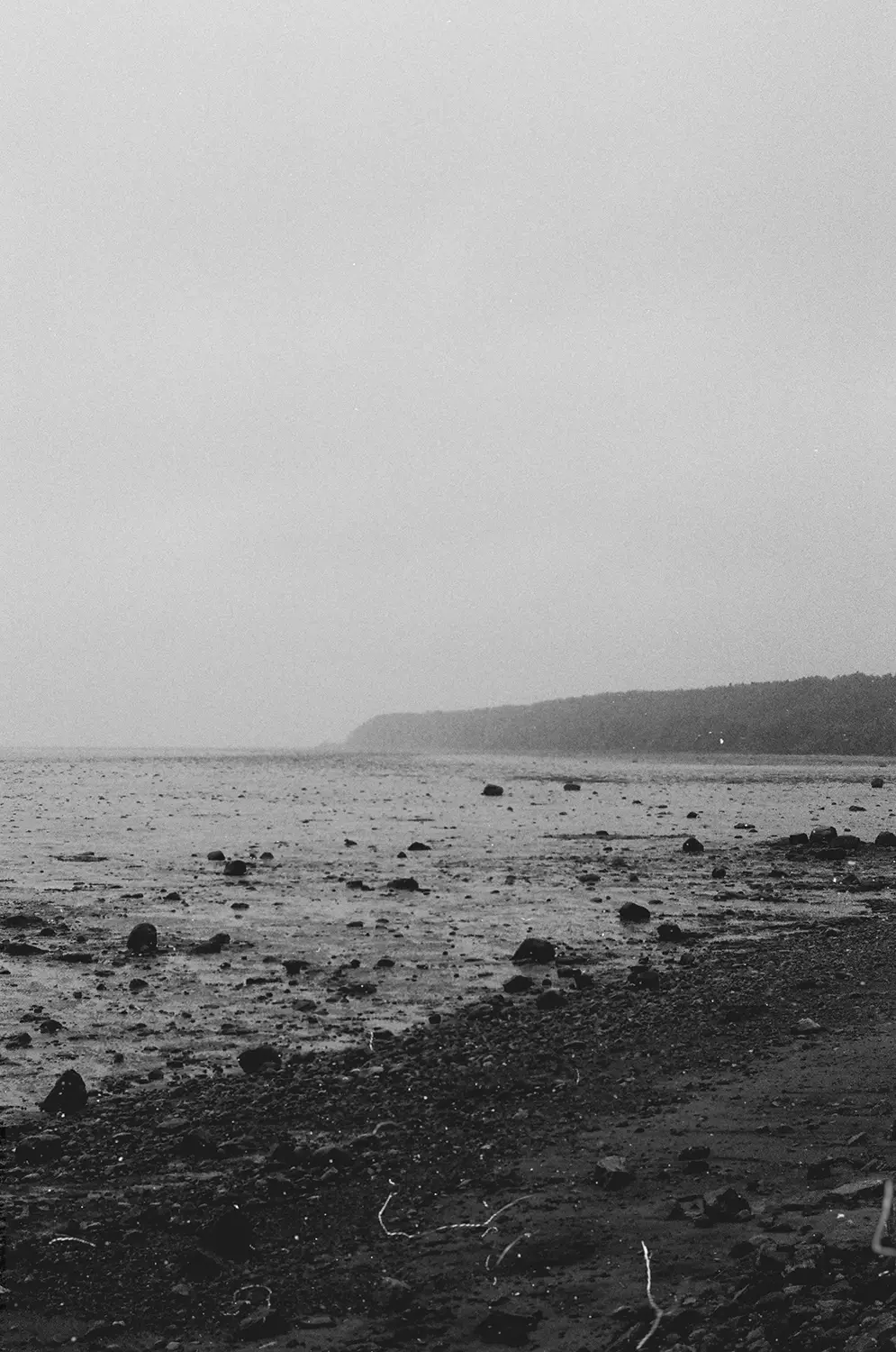 Black and white photo of a rocky shoreline with scattered stones extending into the water and a distant tree-covered landmass under an overcast sky.