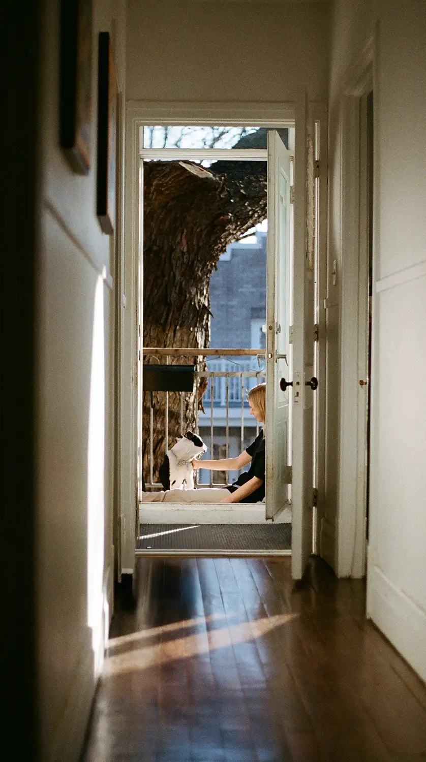 Person sitting on a balcony petting a black and white dog with a large tree trunk visible in the background.