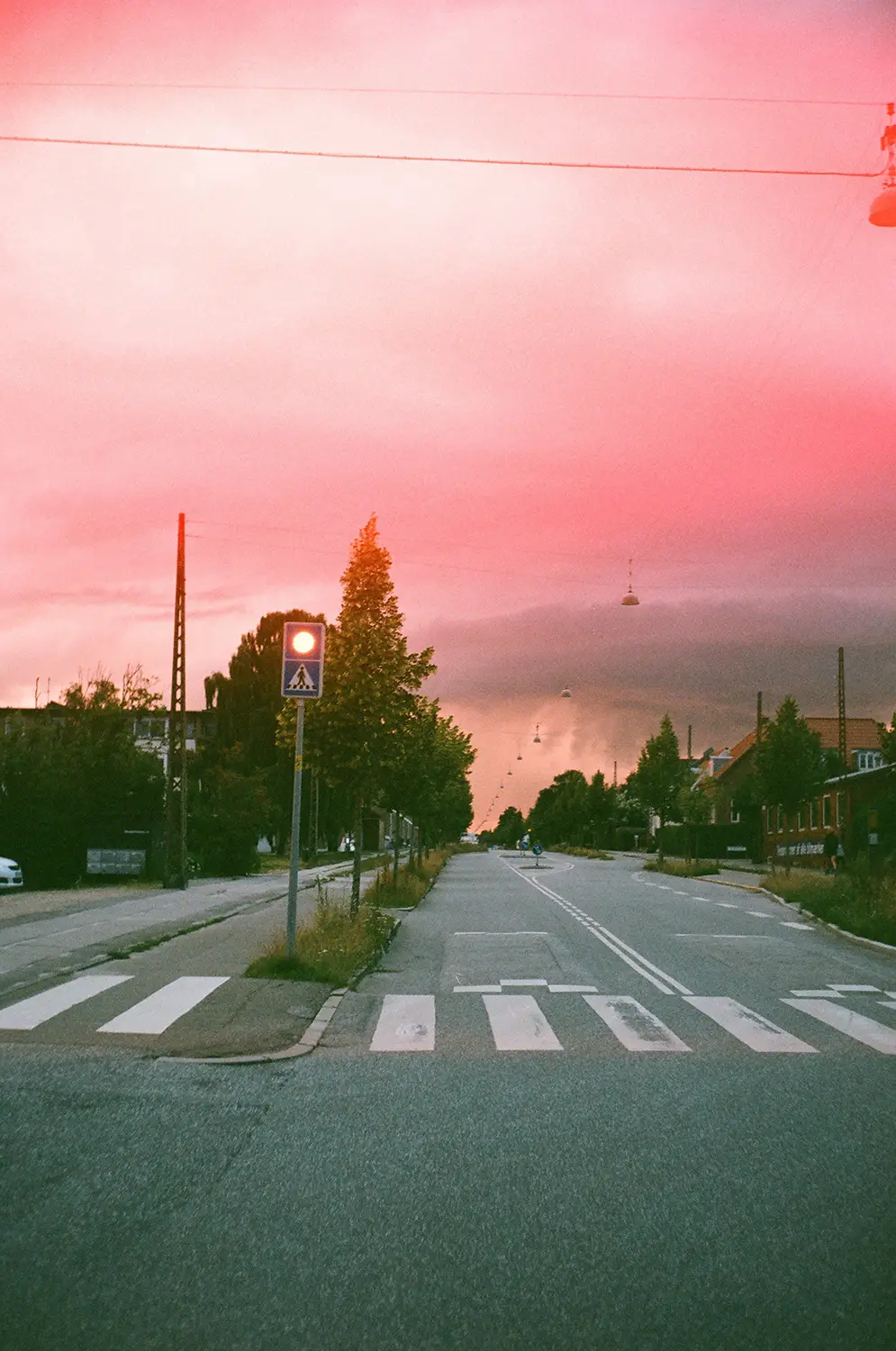Empty street with a pedestrian crossing, lined with trees and houses under a pinkish sky during sunset.