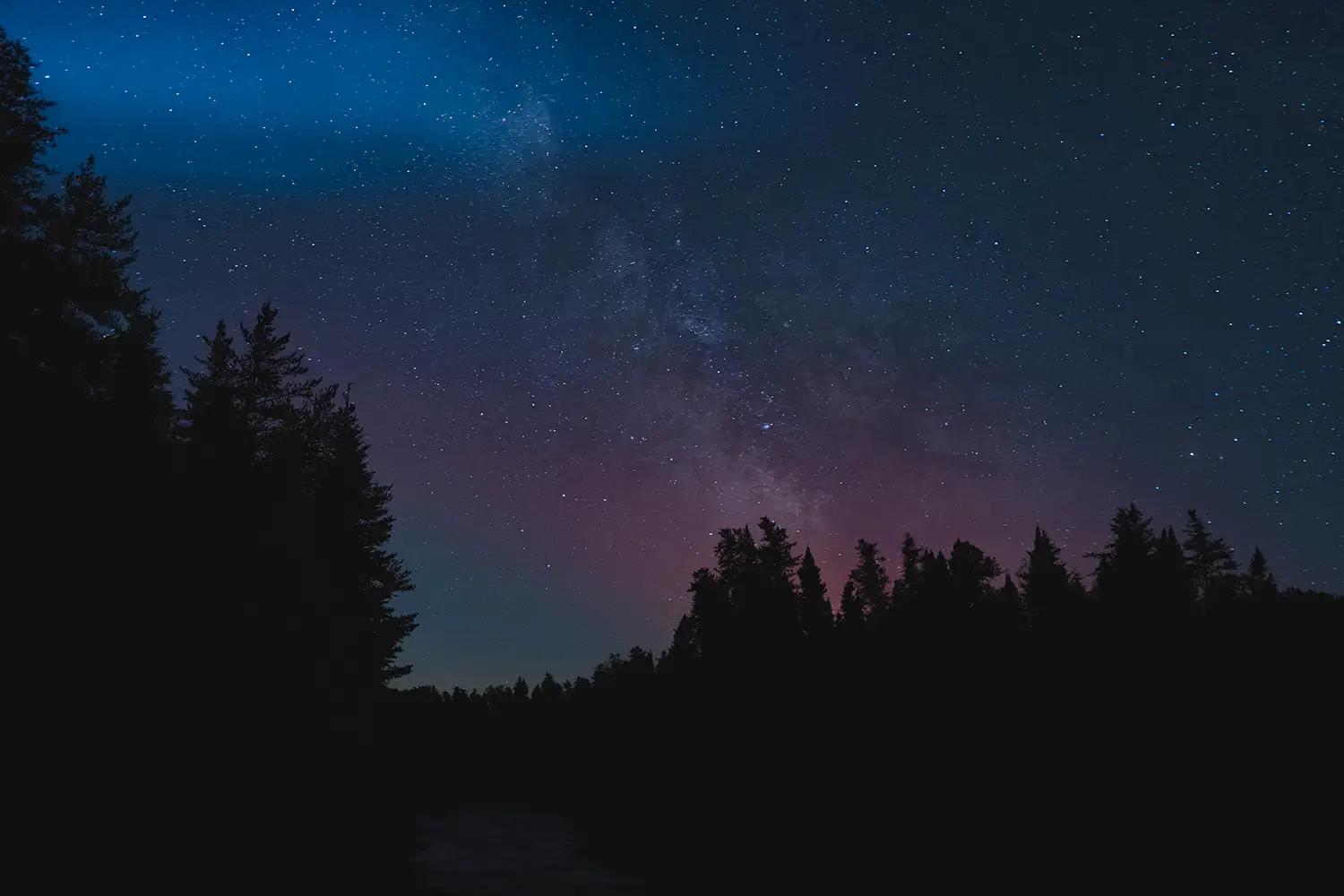 Night sky filled with stars and the Milky Way above a dark forest silhouette.