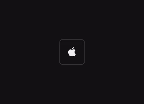 A secondary Apple authentication button with only an icon.