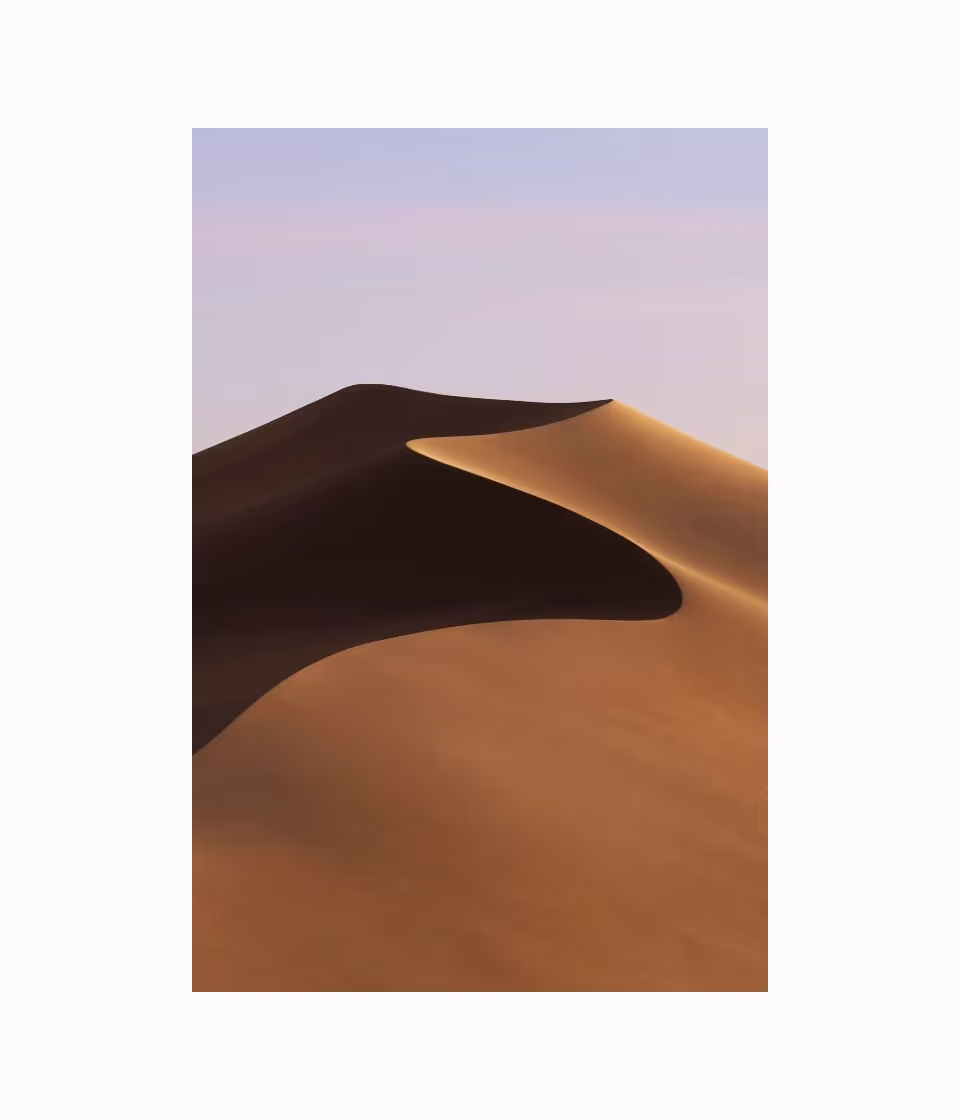 A portrait layout with a 2:3 aspect ratio.