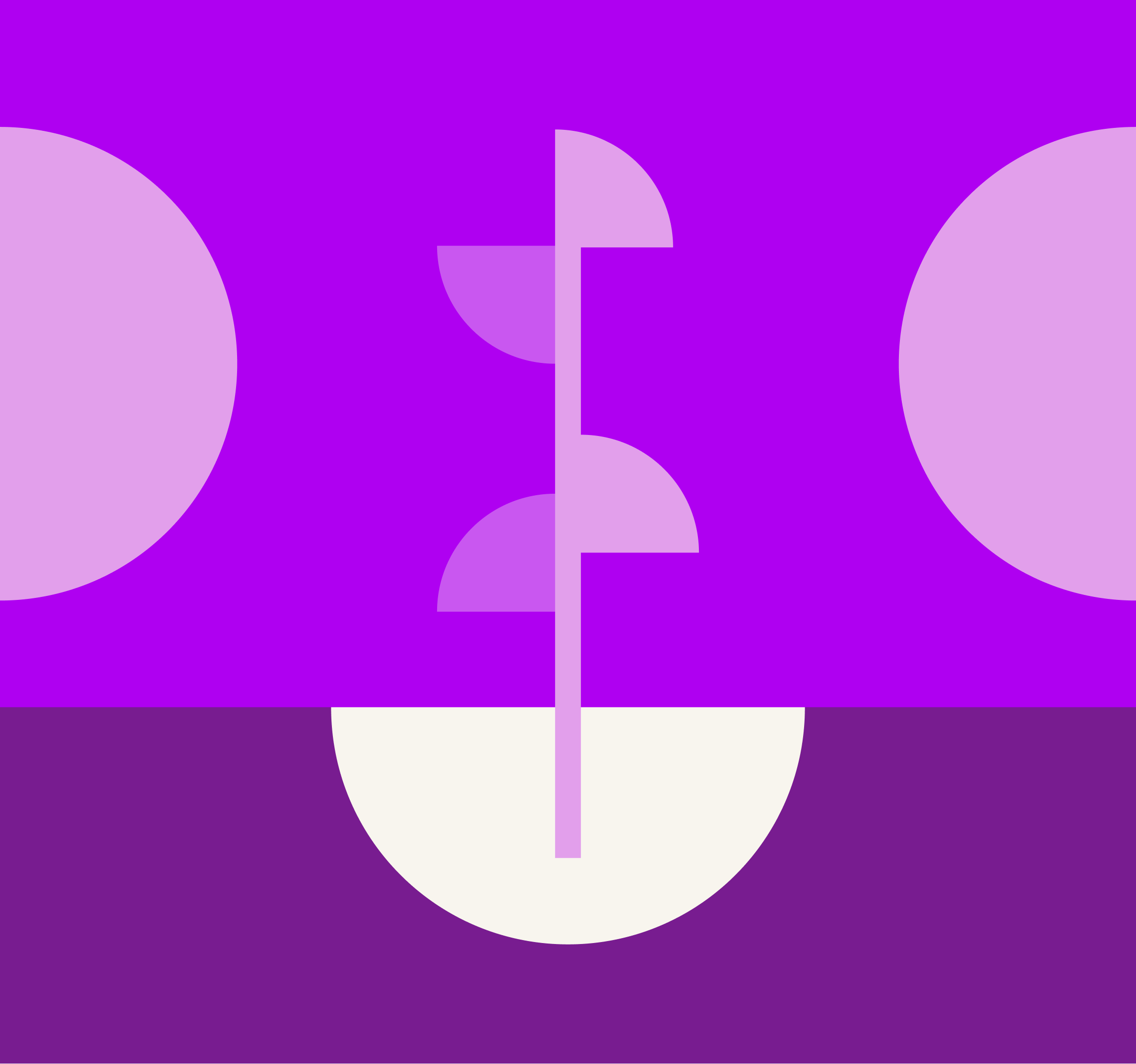 startups and growth stage companies