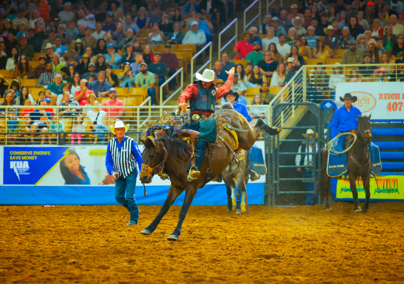 Rider in a red shirt competes in saddle bronc riding at the Silver Spurs Rodeo.