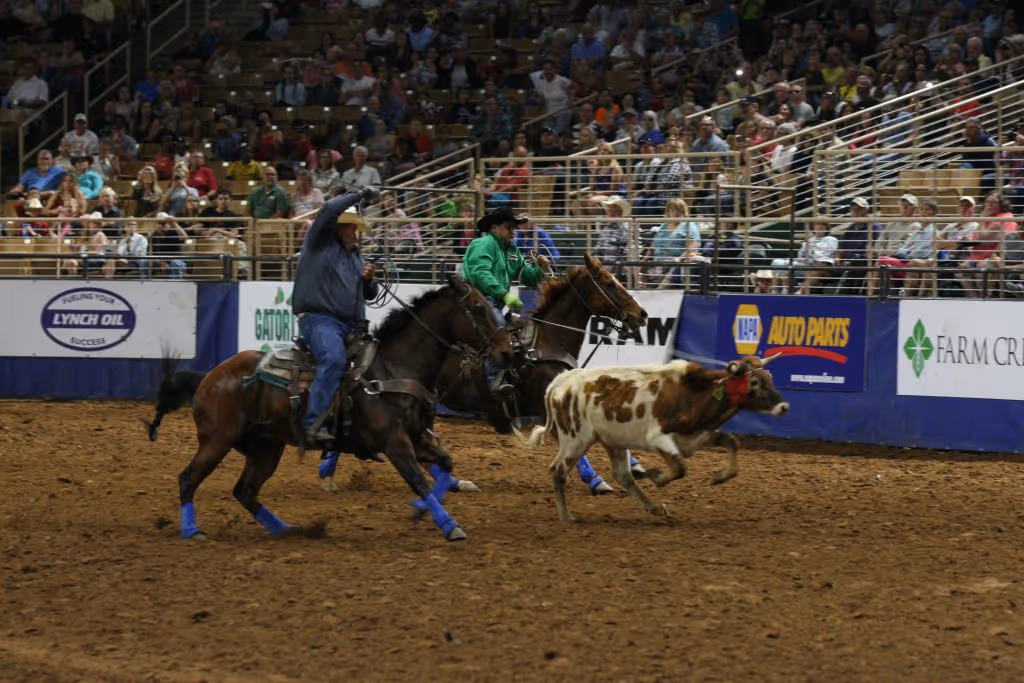 rodeos in Florida