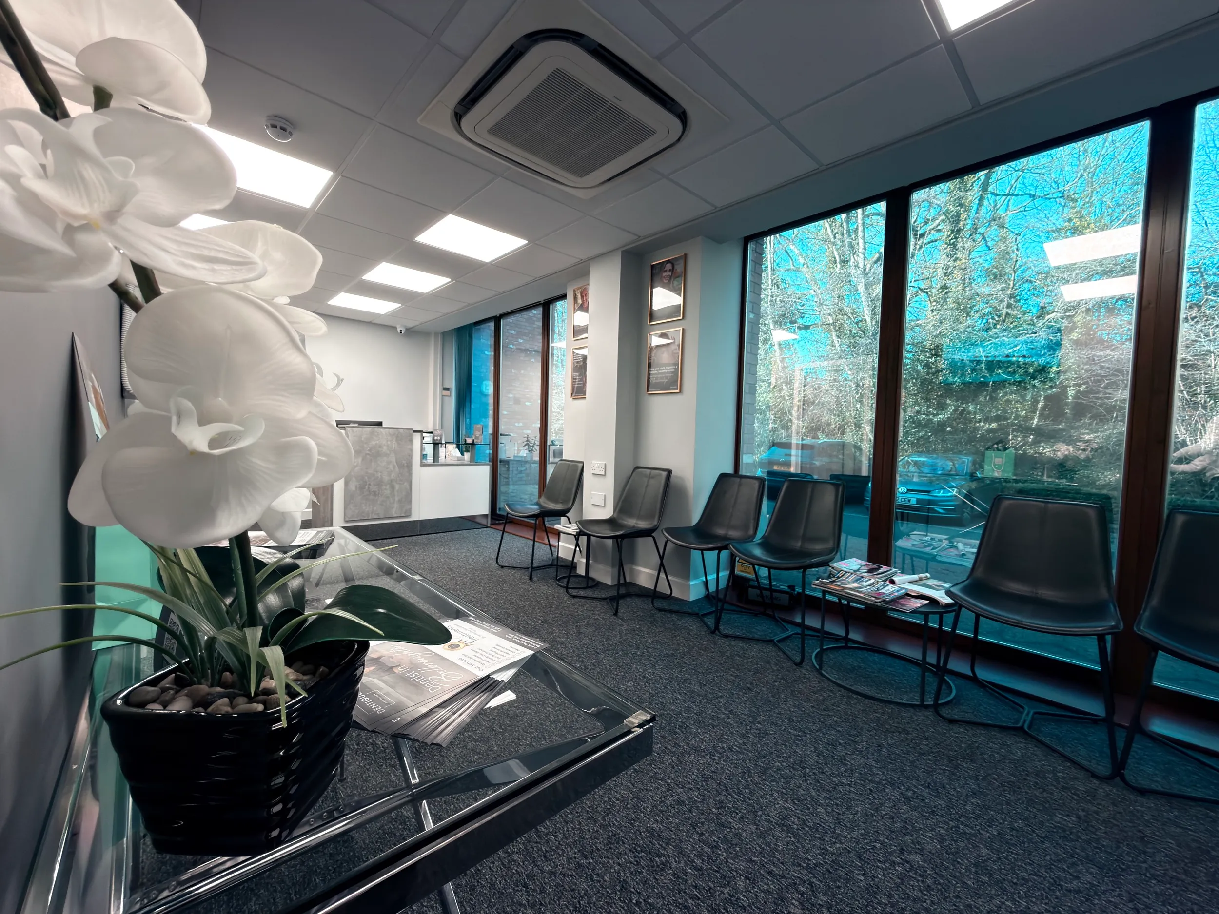 Modern waiting room with black chairs along large windows, a clear table with white orchid plant, and brochures.