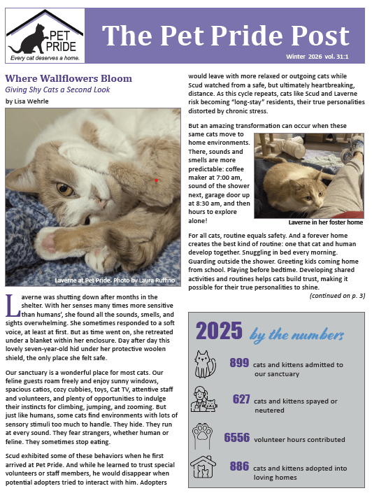 Winter 2026 Newsletter Cover