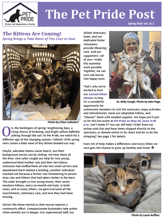 Winter 2026 Newsletter Cover