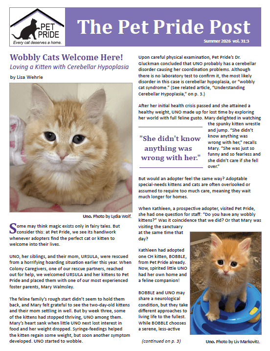Summer 2026 Newsletter Cover