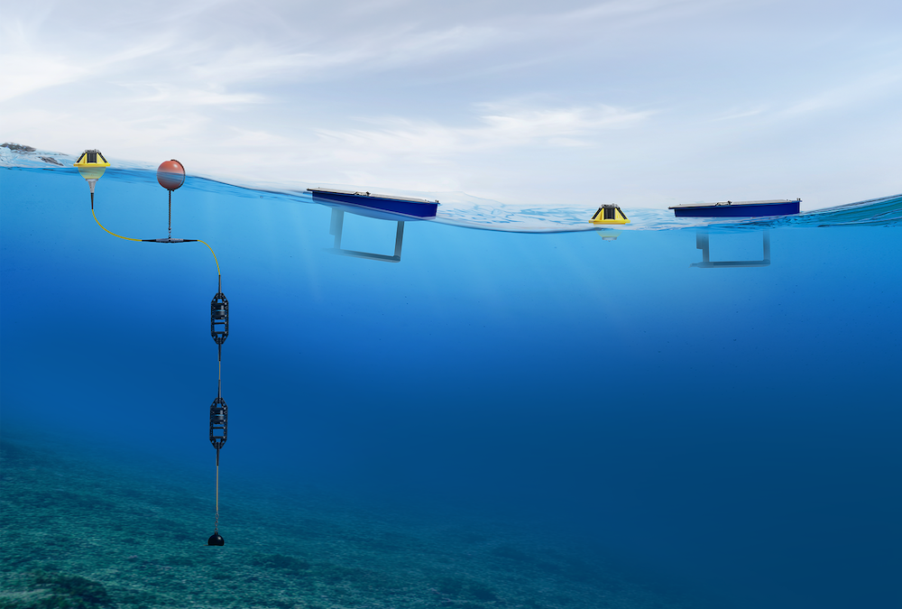 The Spotter platform: moored buoys with Smart Mooring for coastal monitoring, free-drifting buoys for open ocean observations, and Spotter Scouts for deep water station keeping and mobile missions