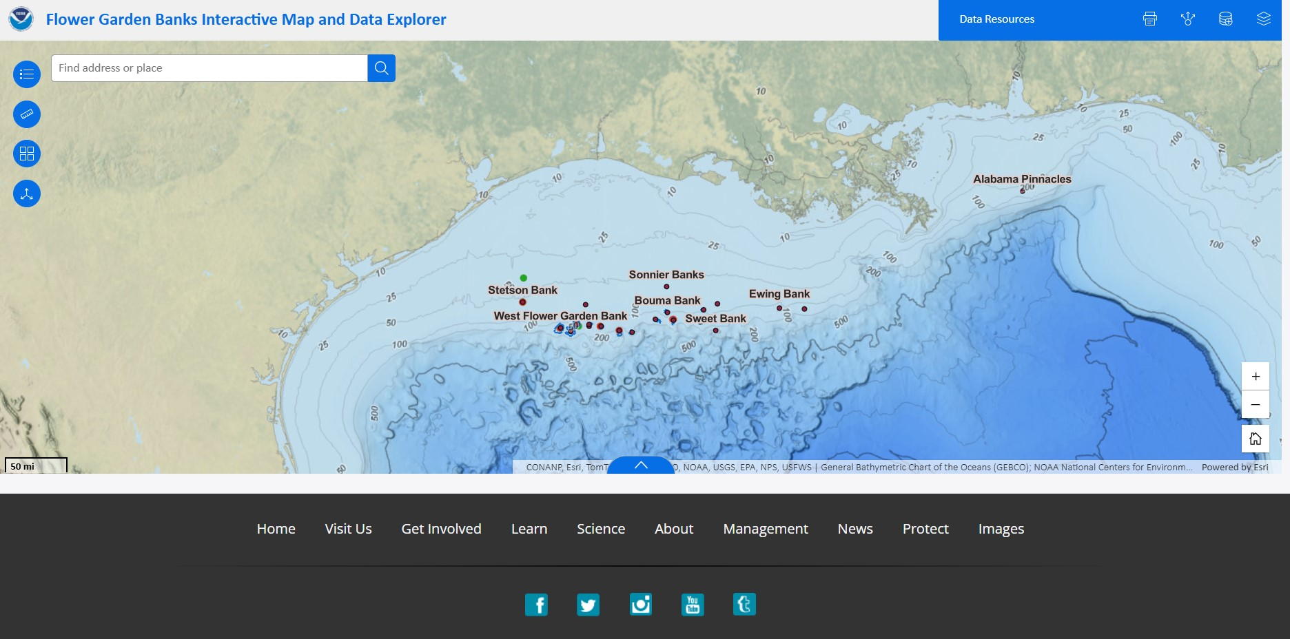 Flower Garden Banks National Marine Sanctuary 