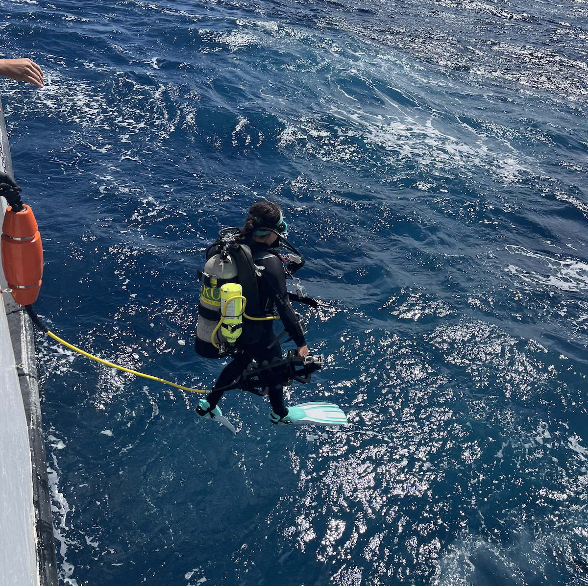 Sanctuary dive teams deploy Smart Mooring systems by attaching them to pre-installed anchors on the reef, a process that requires good weather, vessel availability, and trained divers. 