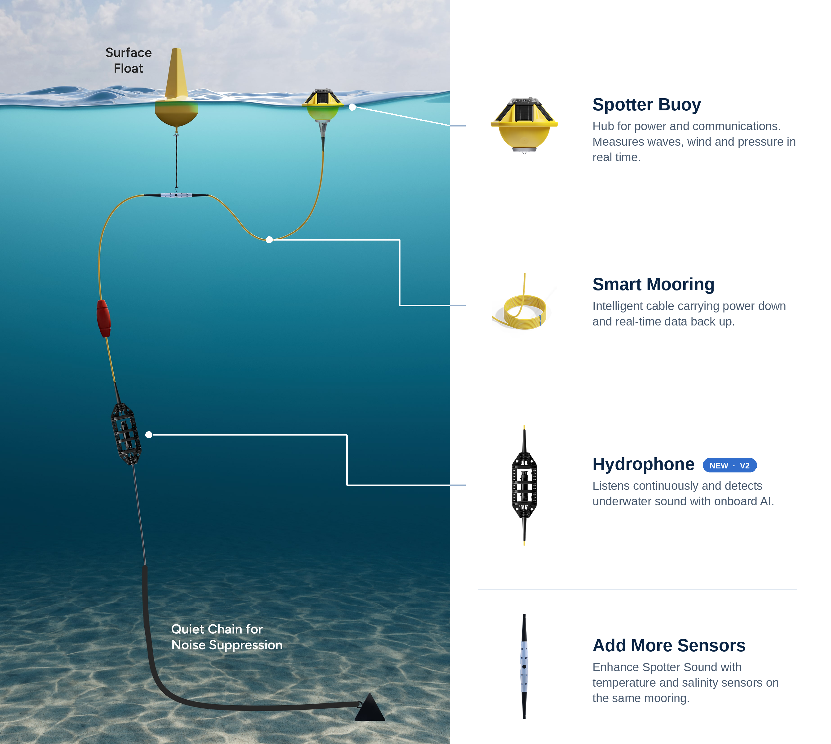 Annotated diagram of a Spotter Sound system: Spotter buoy, Smart Mooring cable, AI-enabled hydrophone and Quiet Chain