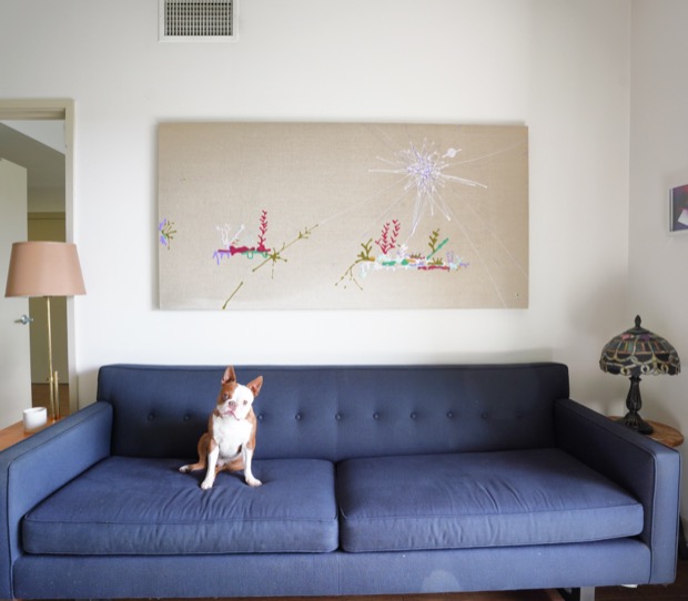 A small dog sitting on a blue sofa
