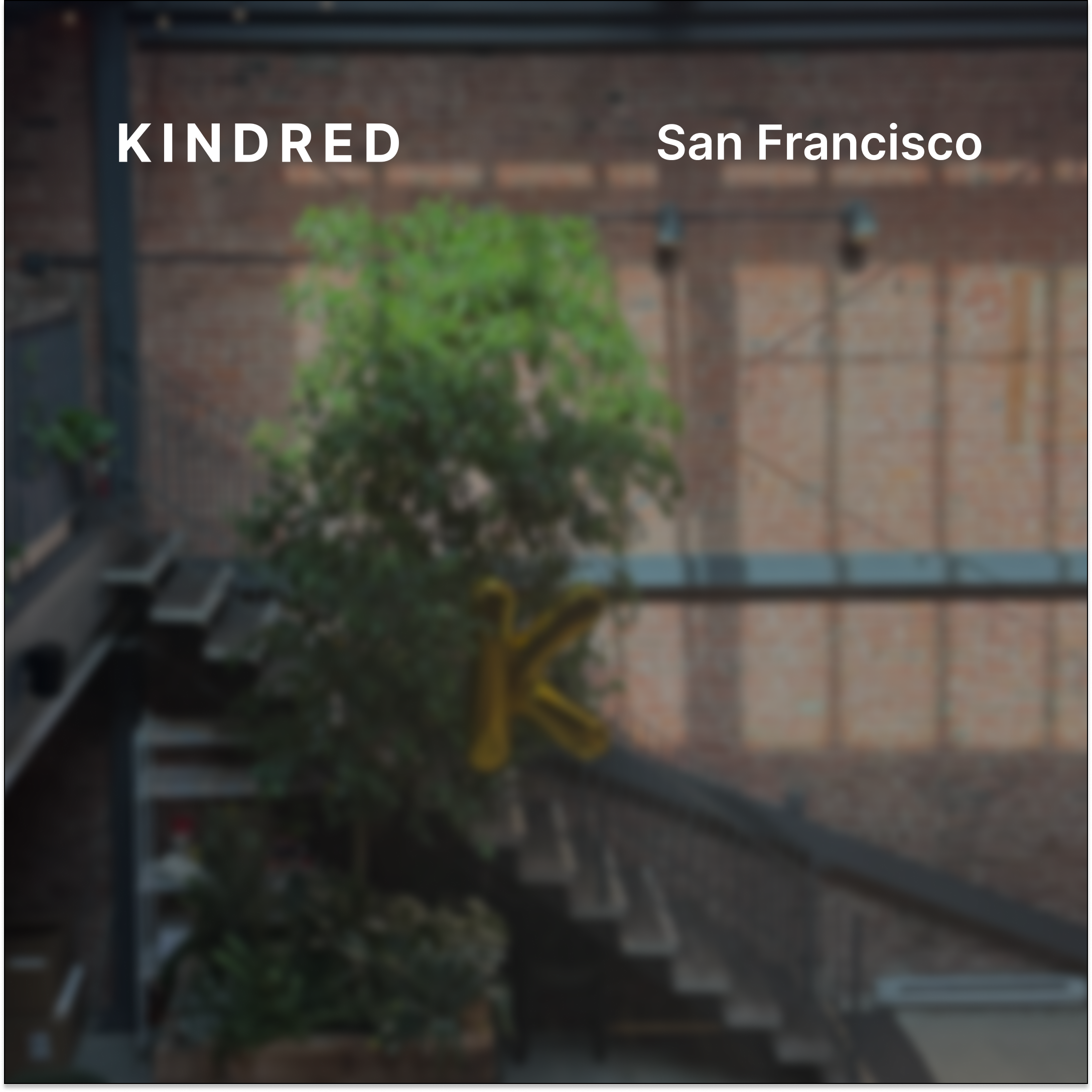 Kindred SF: Housewarming Block Party with the Full Kindred Team