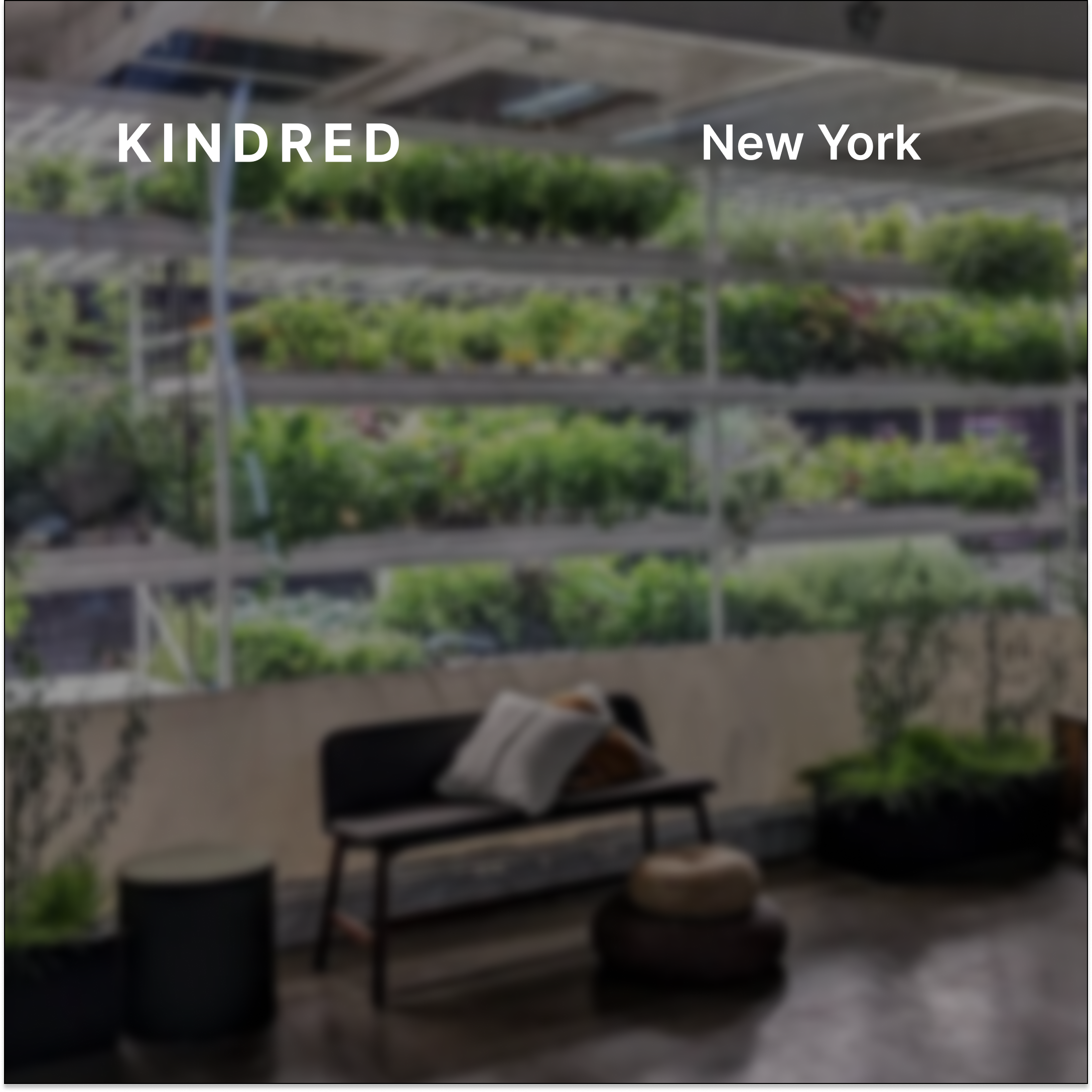 Kindred New York: Trivia Night & Happy Hour at Farm.One