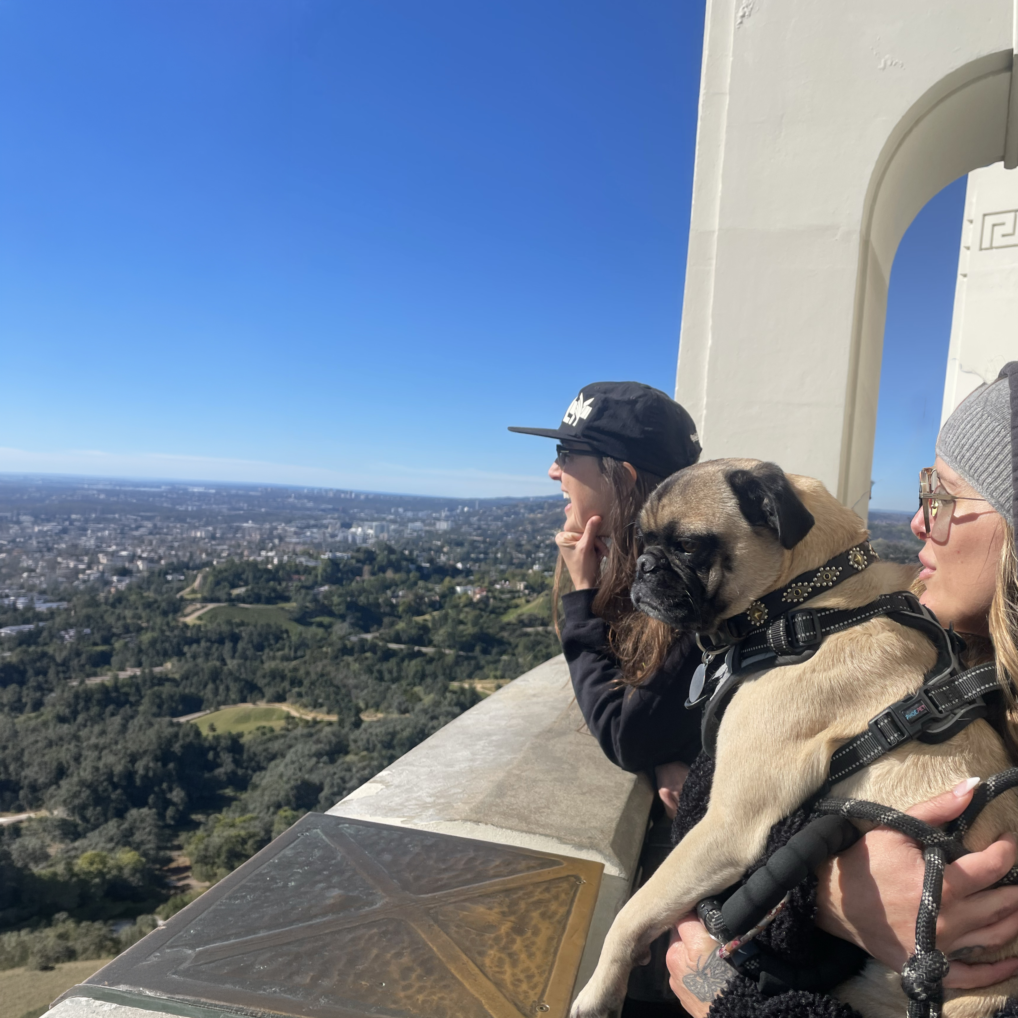Kindred Los Angeles: Griffith Park Hike for Women Travelers