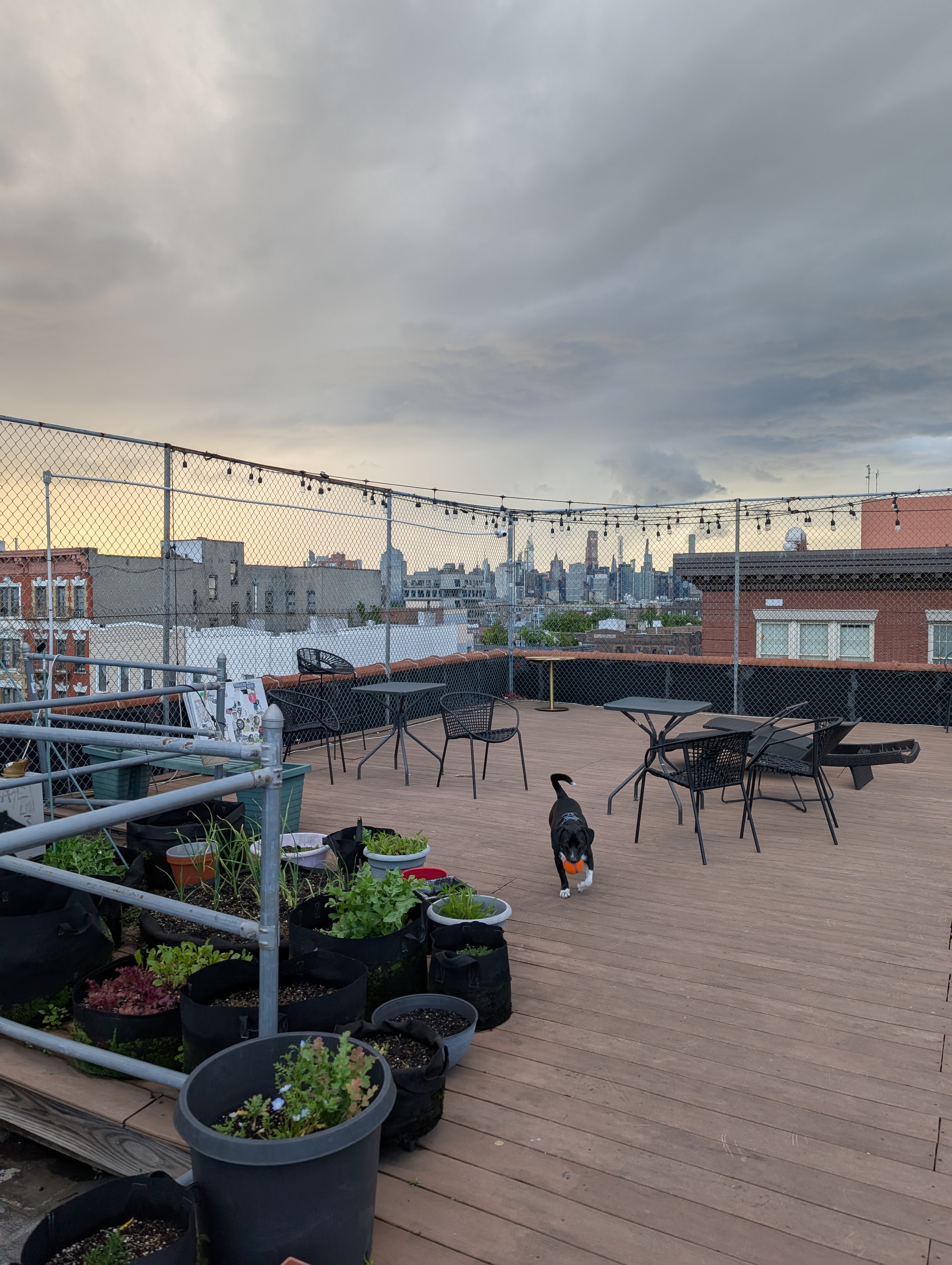 Kindred Brooklyn: Rooftop Happy Hour