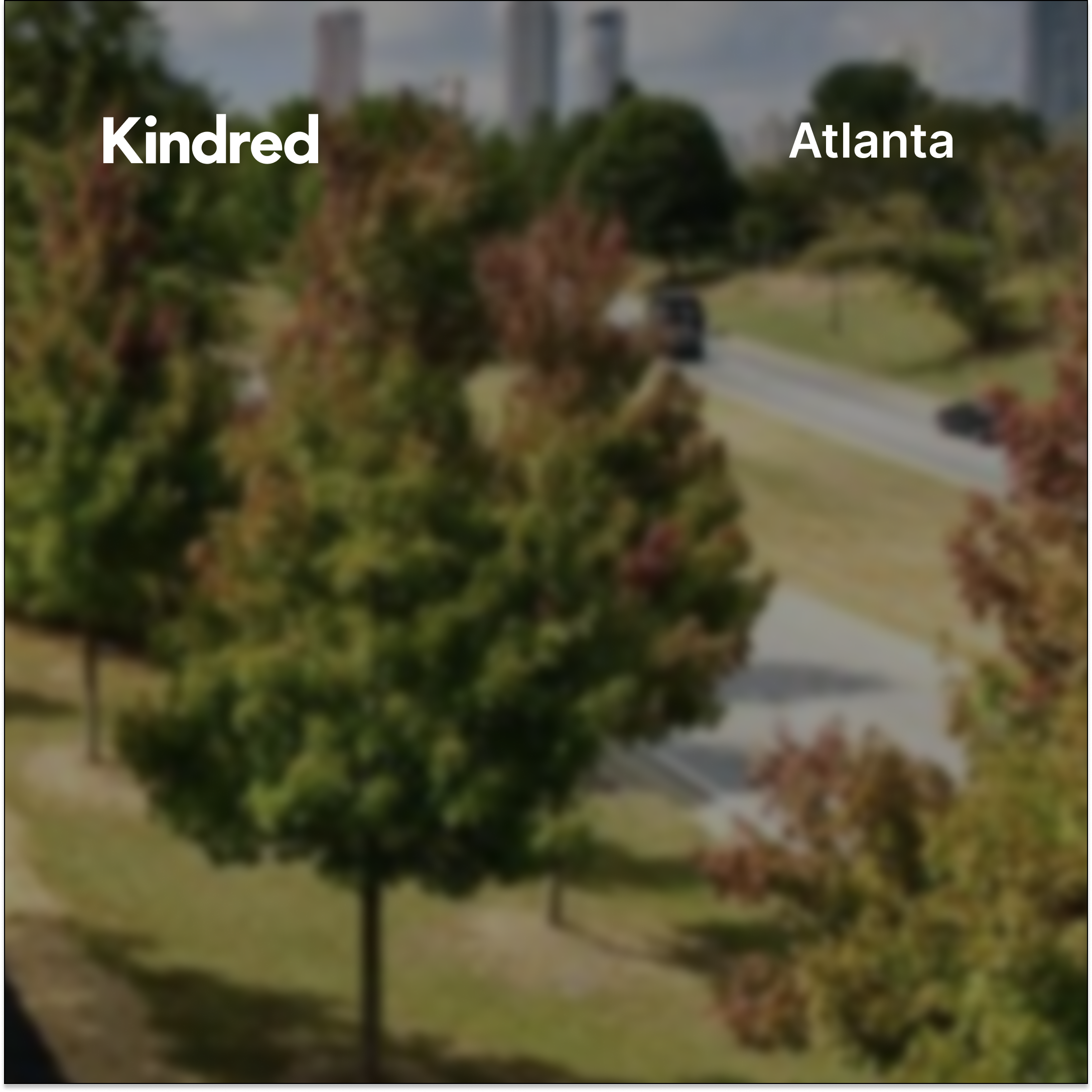 Kindred Atlanta: Summer Picnic at Freedom Park