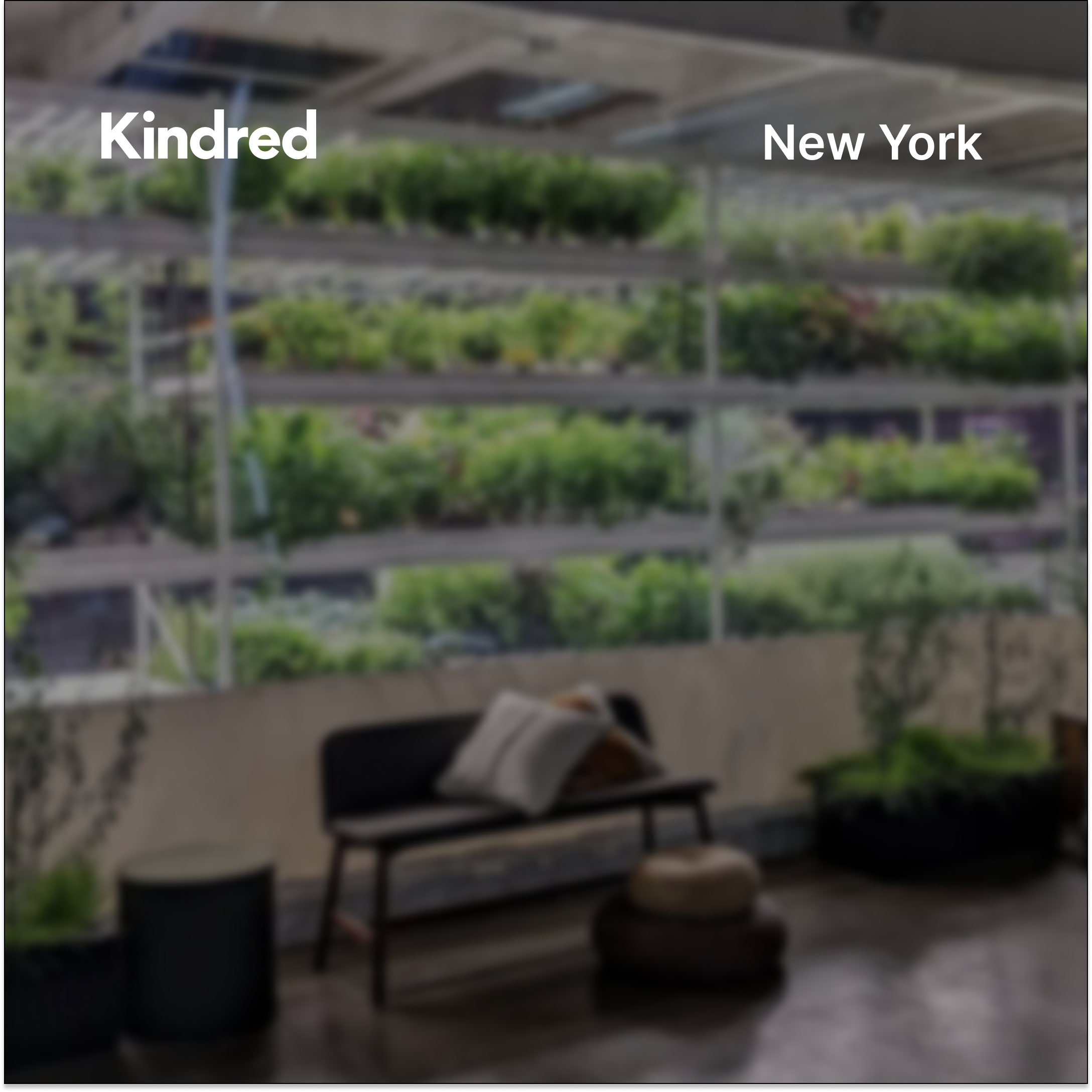 Kindred NYC: Virtual Gathering for New Members
