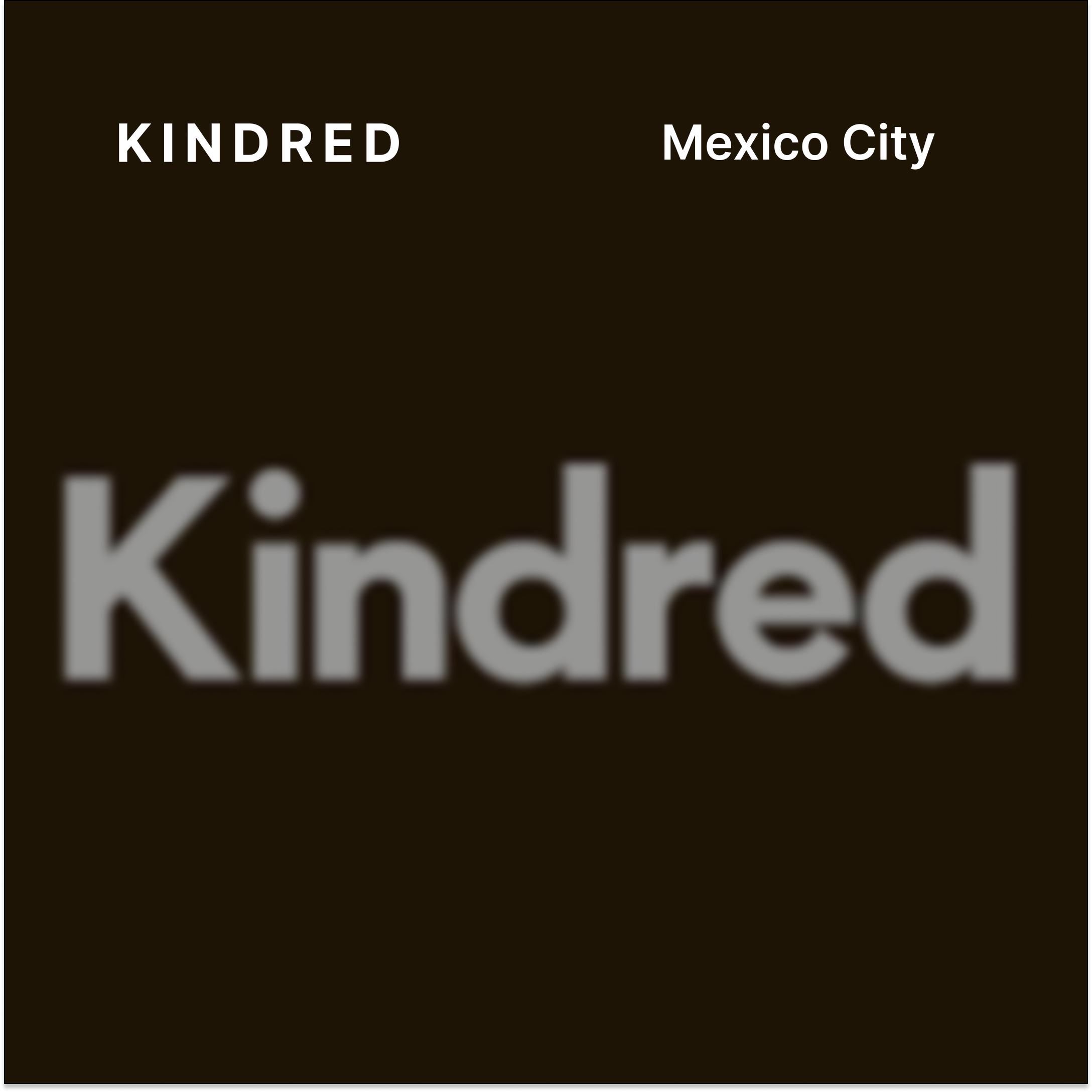 Kindred CDMX: An Evening at Brocante Terraza