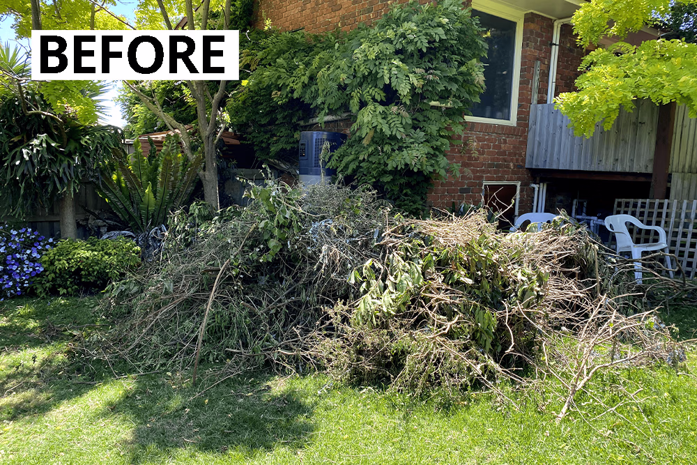 Garden Waste before