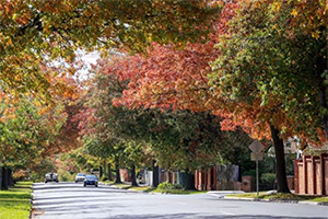 Rubbish Removal Service Malvern