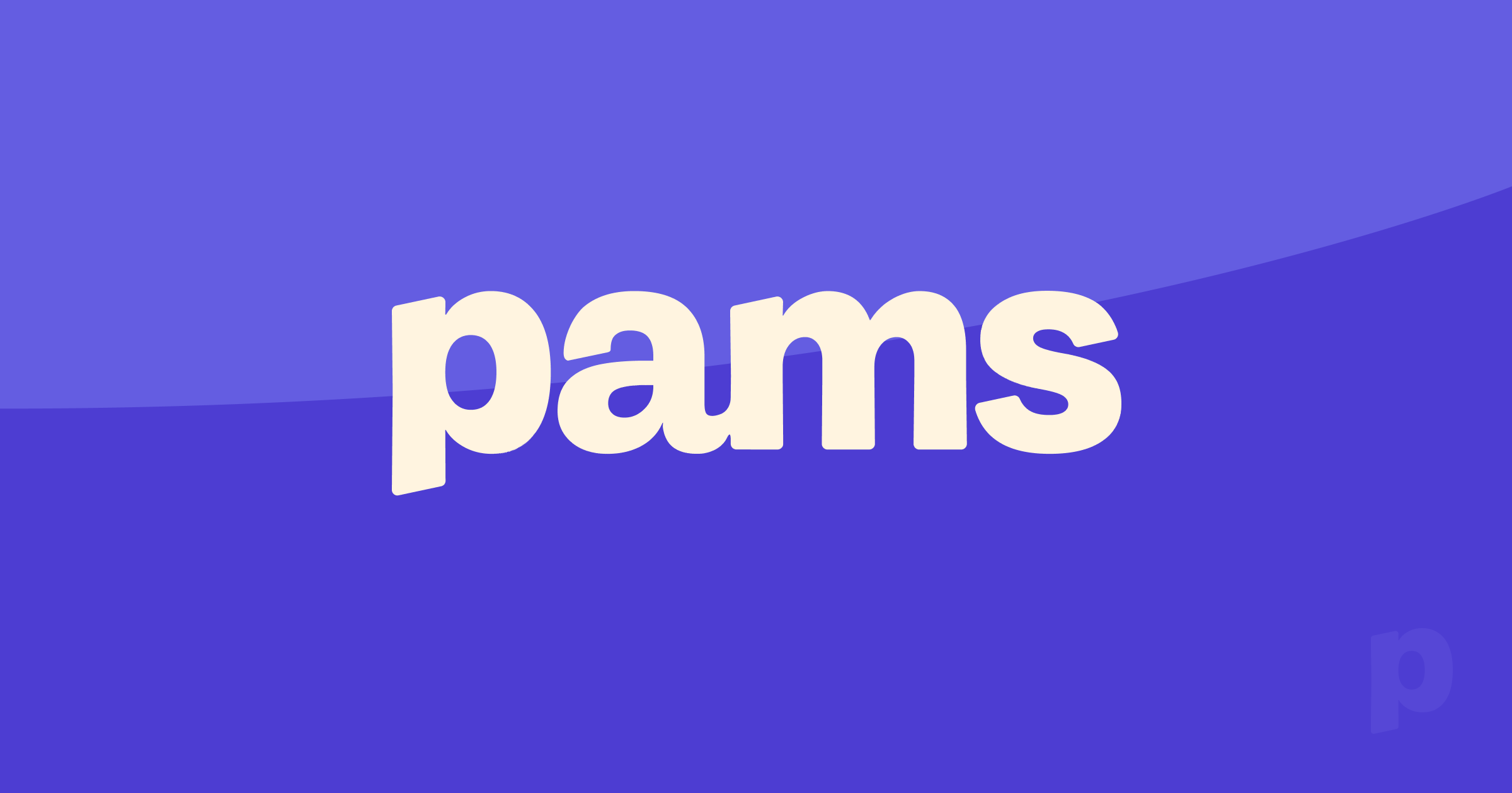 logo écriture pams blanche sur fond violet