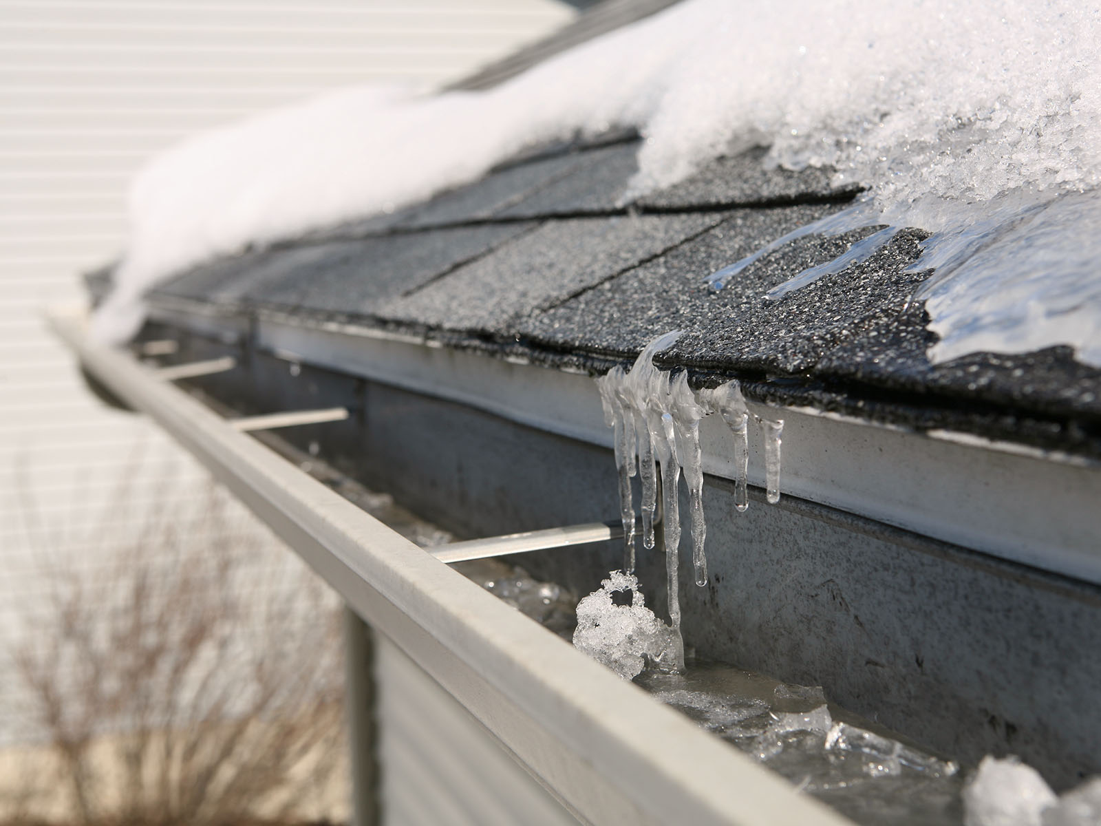 A roof ohouse on a sunny day