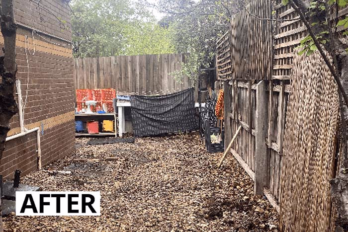 Back Yard Clean Up After