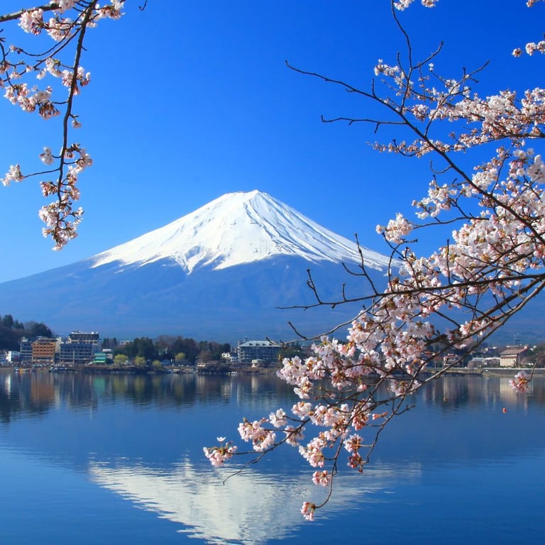 公主郵輪｜鑽石公主號 －10 晚北海道、南韓 【2025賞櫻之選】