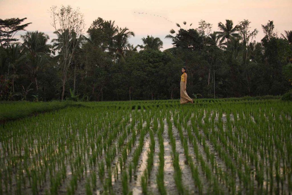 烏布阿賴耶渡假村 (Alaya Resort Ubud)