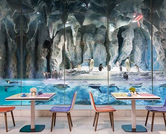 珠海長隆企鵝酒店 (Zhuhai Chimelong Penguin Hotel)4
