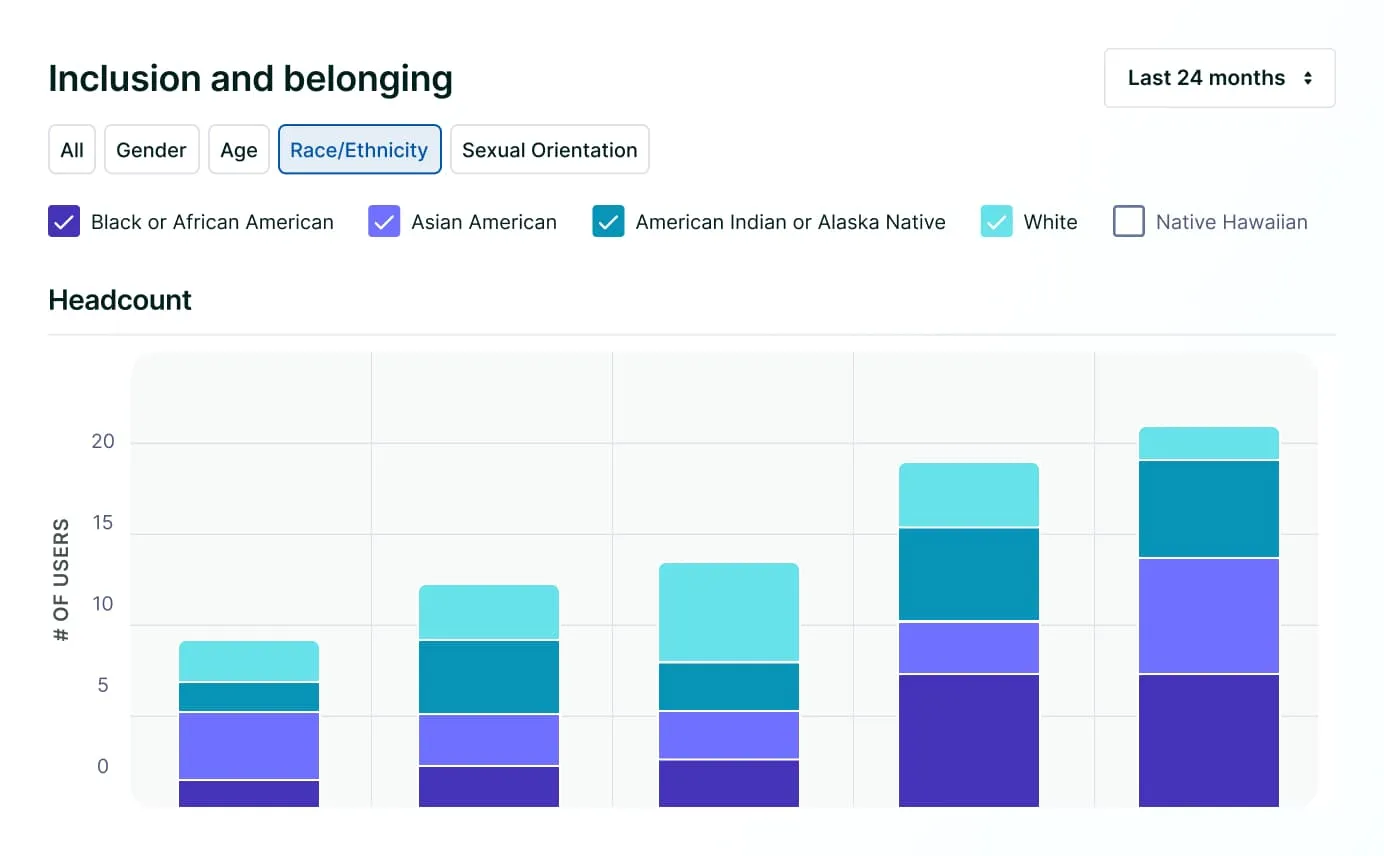 DEIB analytics dashboard in Lattice