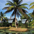 Plantages in Suriname