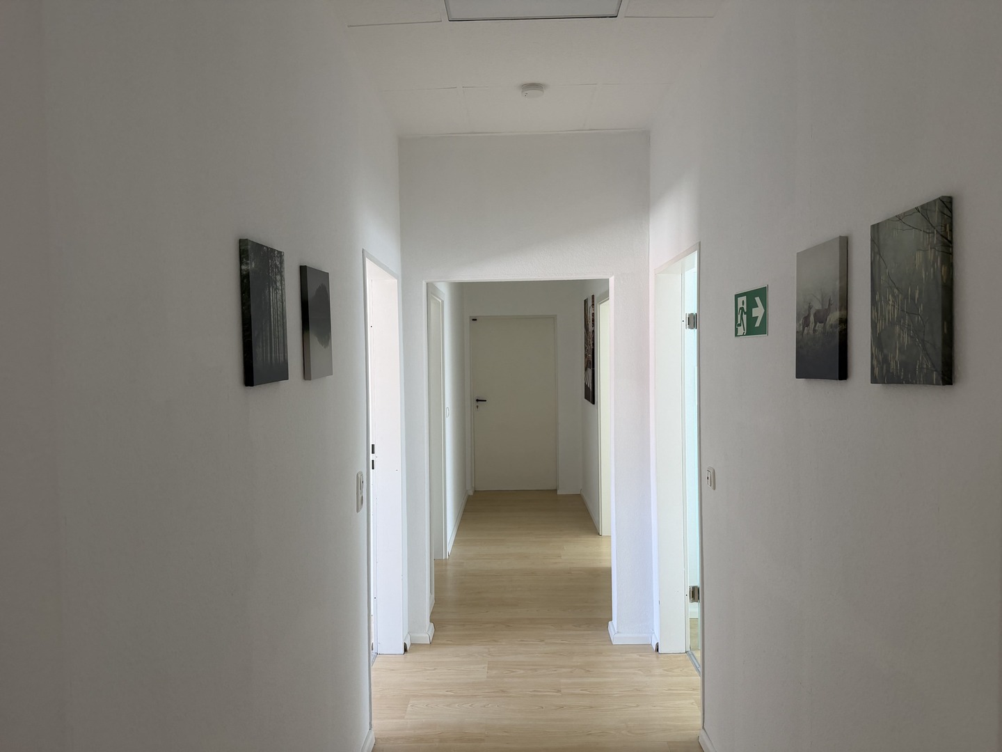 Monteurwohnung Messel, Großes Apartment in Messel (8 Personen), Bild 4