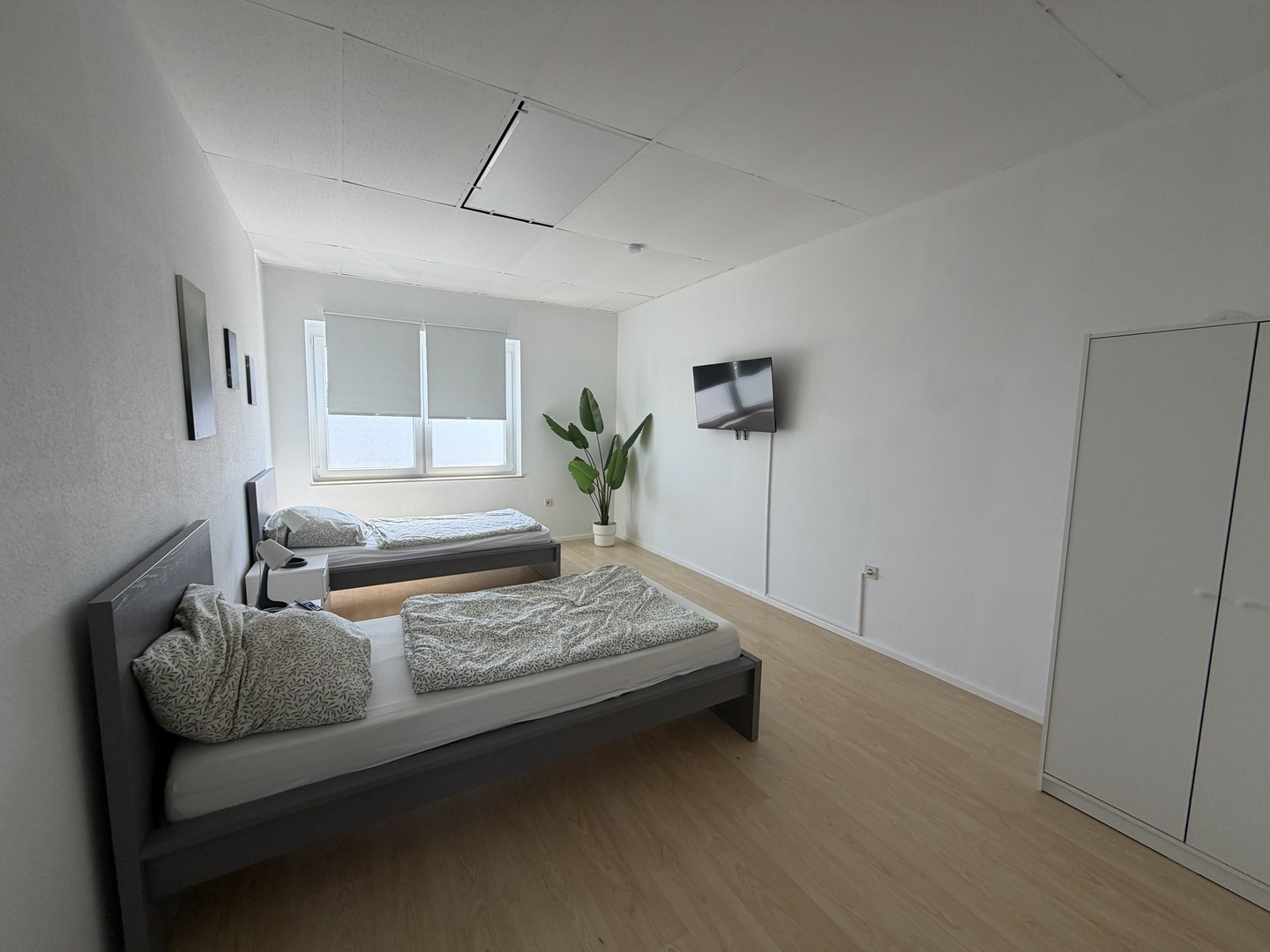 Monteurwohnung Messel, Großes Apartment in Messel (8 Personen), Bild 7