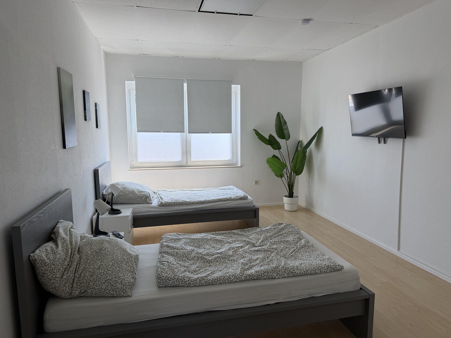 Monteurwohnung Messel, Großes Apartment in Messel (8 Personen), Bild 6