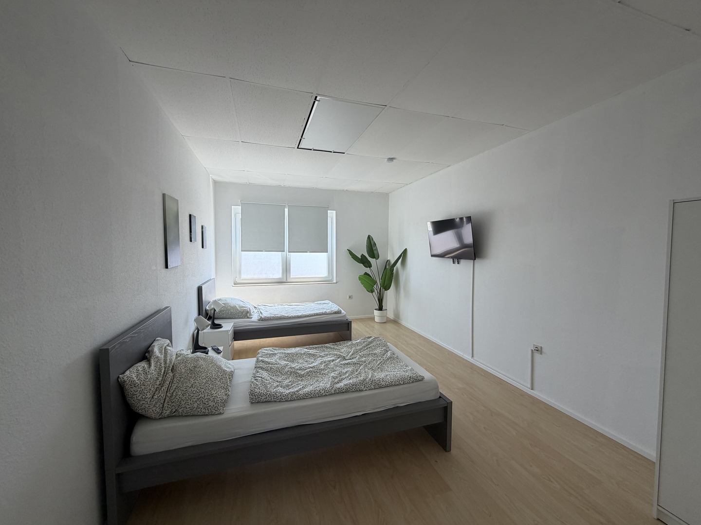 Monteurwohnung Messel, Großes Apartment in Messel (8 Personen), Bild 13