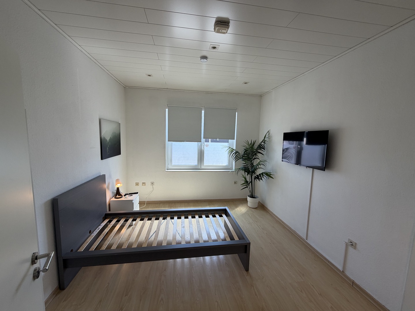 Monteurwohnung Messel, Großes Apartment in Messel (8 Personen), Bild 15