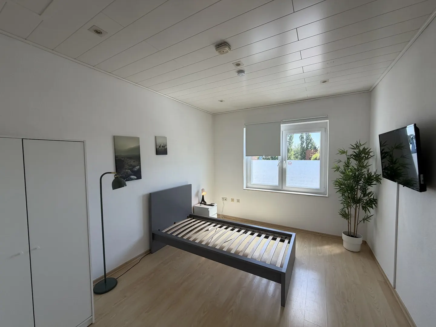 Monteurwohnung Messel, Großes Apartment in Messel (8 Personen), Bild 14