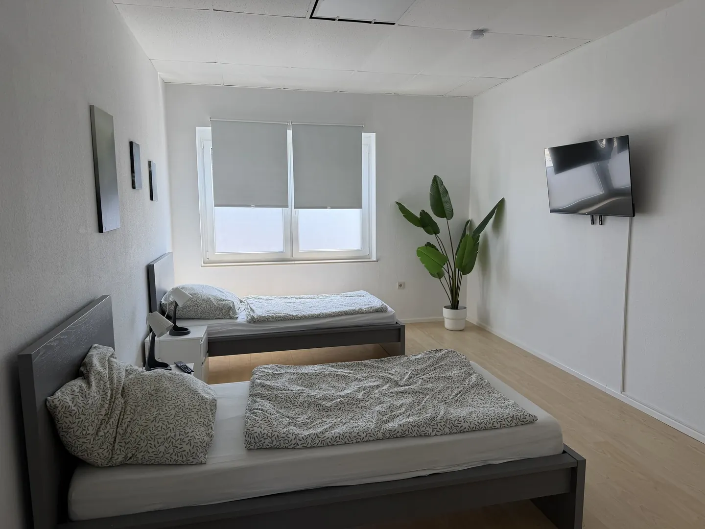 Monteurwohnung Messel, Großes Apartment in Messel (8 Personen), Bild 6