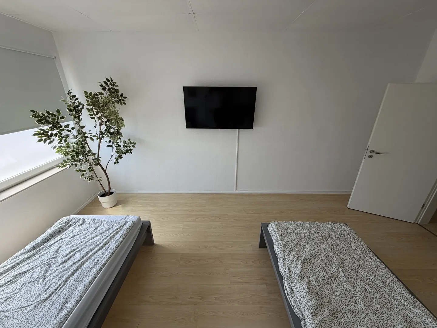 Monteurwohnung Messel, Großes Apartment in Messel (8 Personen), Bild 12