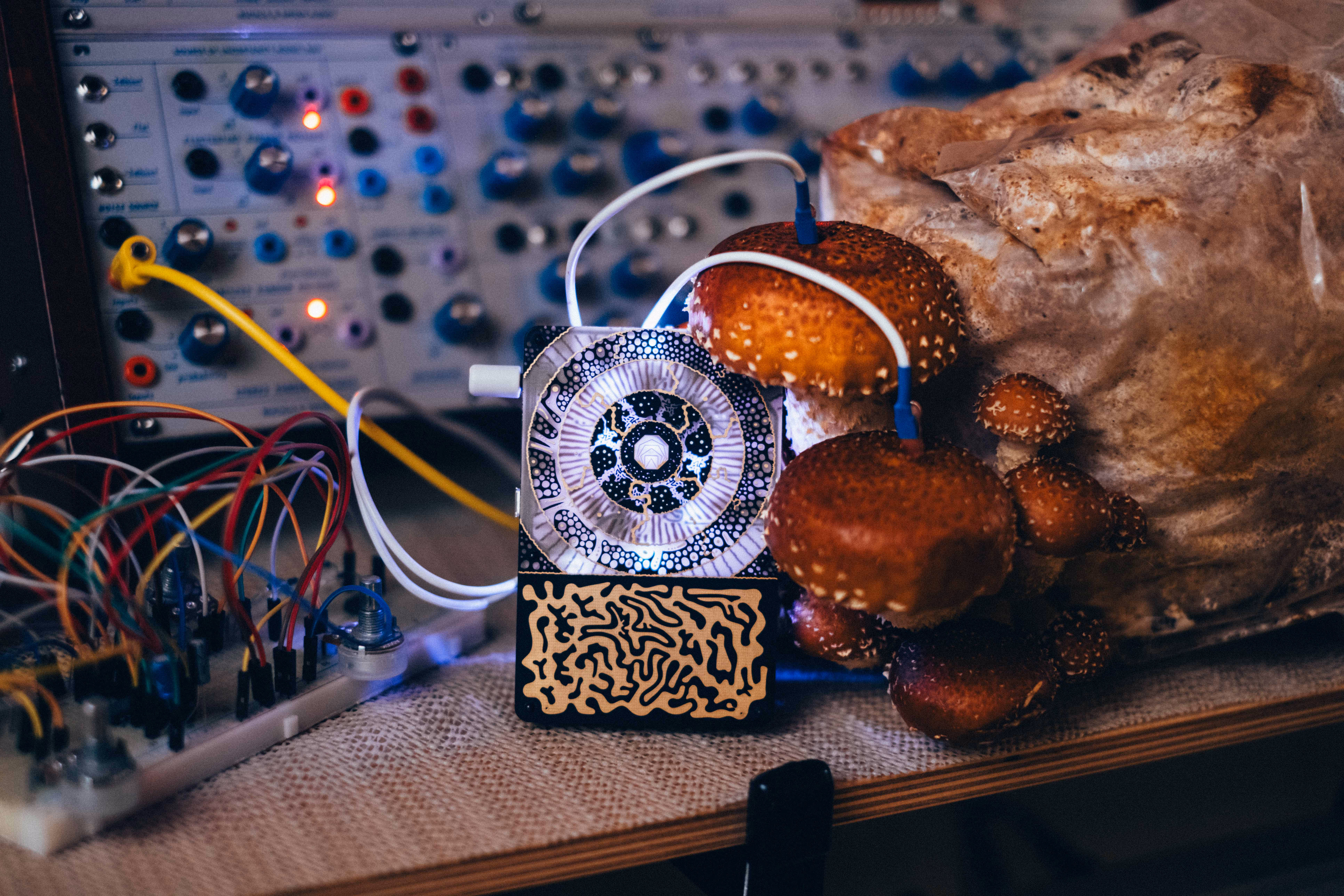Electronic device with patterned circular design connected by wires to mushrooms growing from a substrate bag, beside a modular synthesizer panel and colorful wiring.