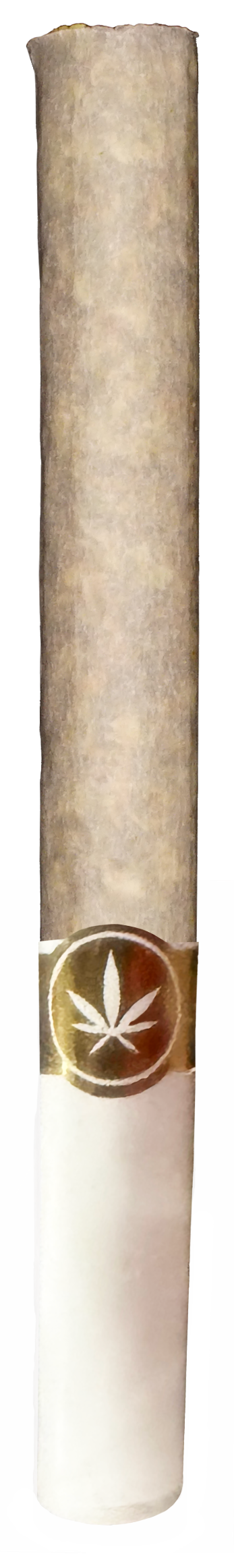 Short Kings pre-roll with gold cannabis leaf band by Nimbus Cannabis Co.