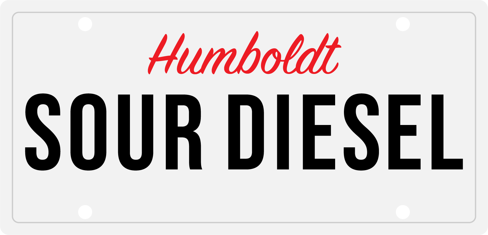 At Nimbus we believe that extraction is an art, where the process involves identifying and harvesting only what is desired; and leaving the rest. That’s why our process starts with the careful selection and curation of strains based on its cannabinoid and terpene profiles.
