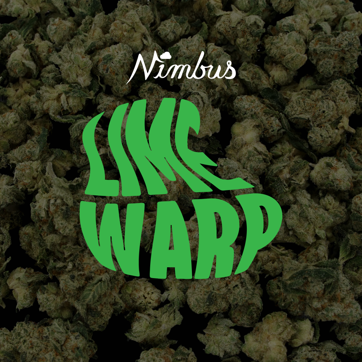 After a few too many hits, Lime Warp will make you feel like you're in a wormhole traveling through hyperspace. Our head grower, the Green Meatball, picked this strain for the love of this strain's parents. The Neville Haze is a classic. A sativa with long, dense leaves, it has pure Haze genetics with a touch of indica. The Las Vegas Kush Purple Kush is a stout, broad indica plant derived from two landrace strains. Lime Warp tastes include the typical haze flavor with touches of lime that create an even hybrid high. It is great to smoke before going out for the night, but one too many hits will keep you home all evening.