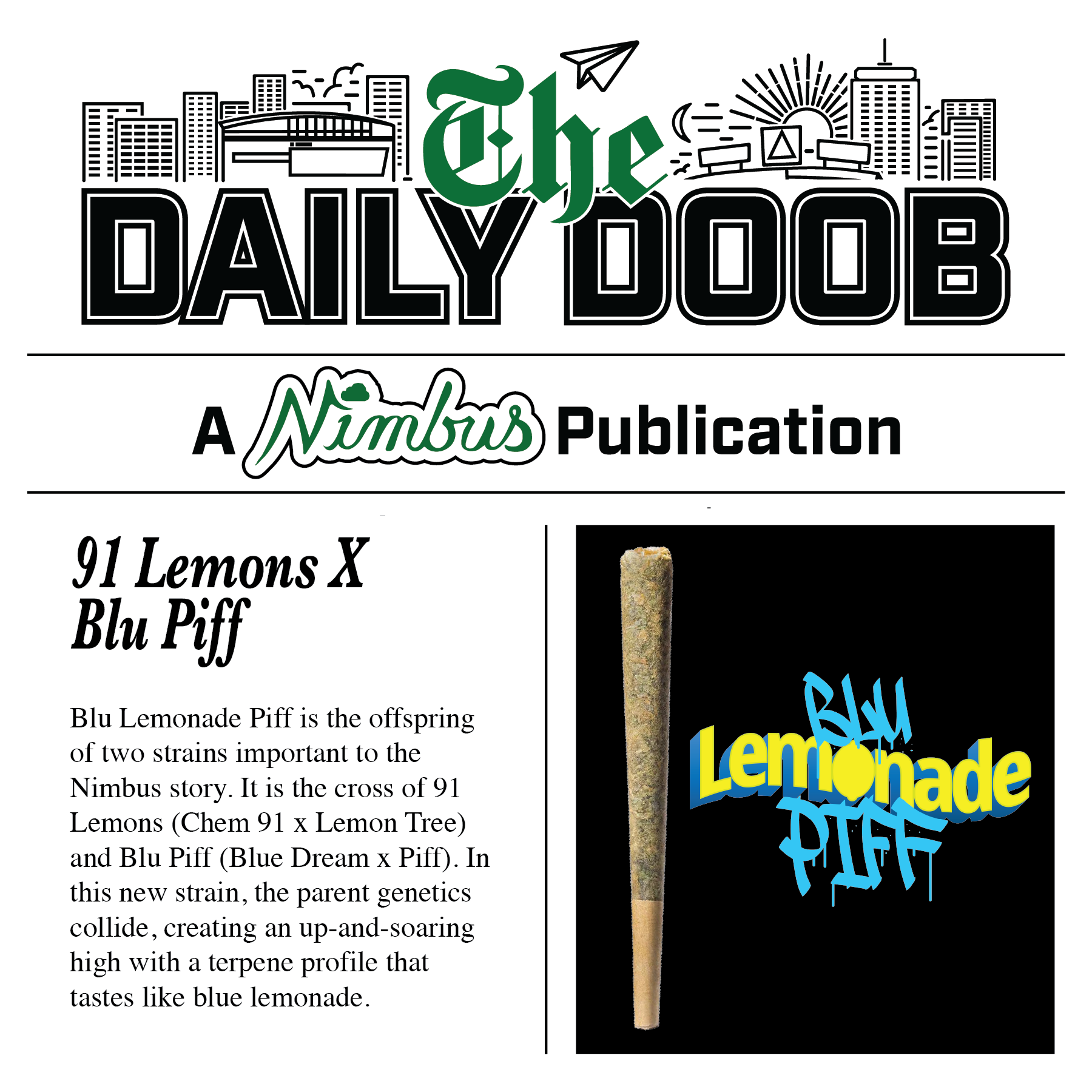 Nimbus Blu Lemonade Piff — The Daily Doobs Preroll, 1.0g, Sativa-Dominant Hybrid — Massachusetts
