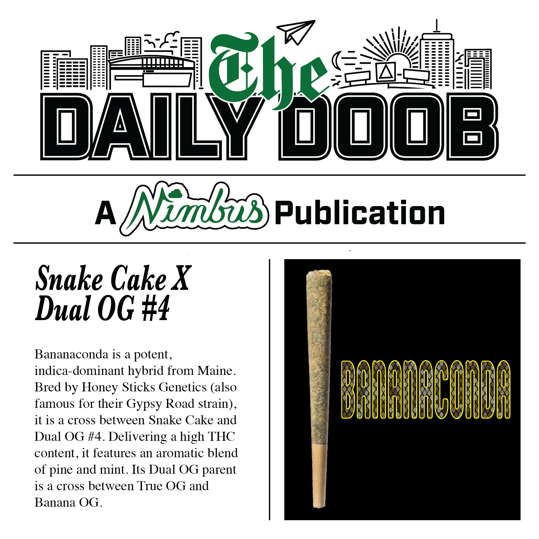Nimbus Bananaconda — The Daily Doobs Preroll, 1.0g, Indica-Dominant Hybrid — Massachusetts